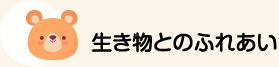 生き物とのふれあい