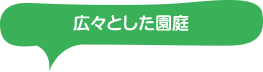 広々とした園庭