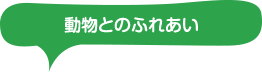 動物とのふれあい