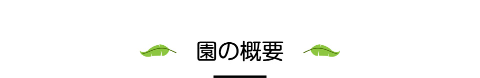 入園までの流れ