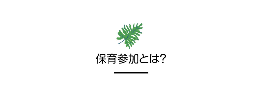 保育参加とは？