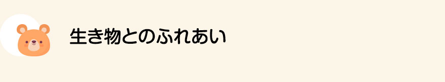 生き物とのふれあい