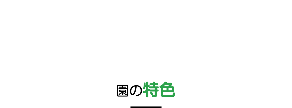 園の特色