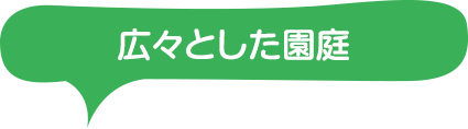 広々とした園庭