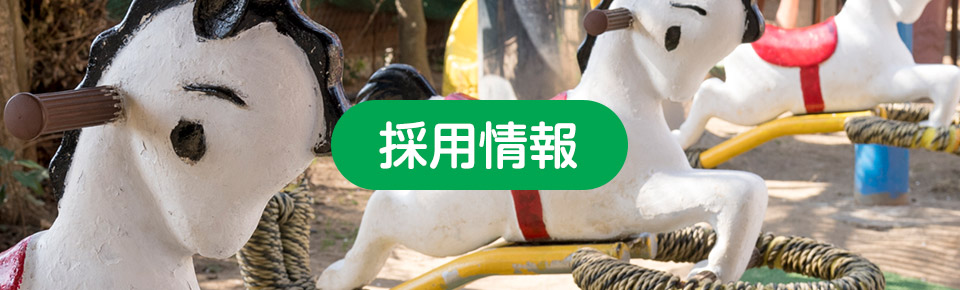 採用情報