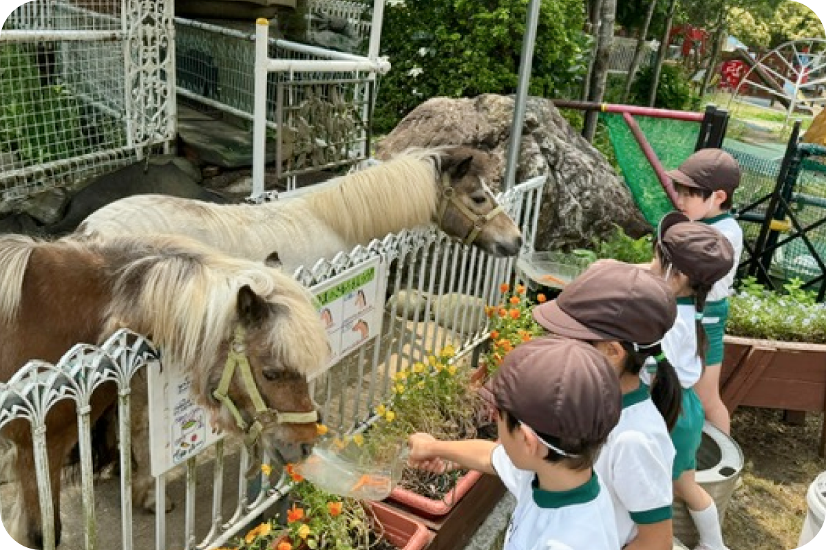生き物とのふれあい