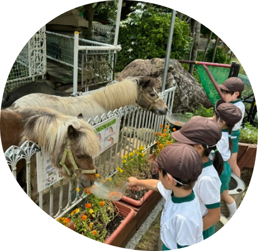 生き物とのふれあいイメージ